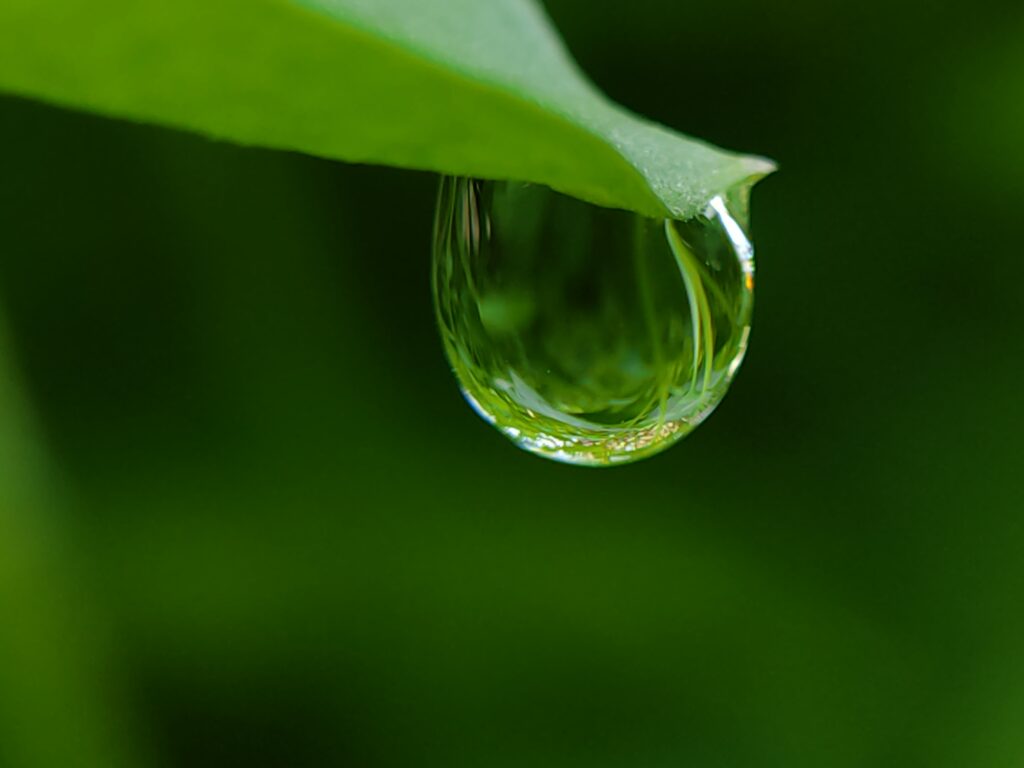 img 20210125 105555 1