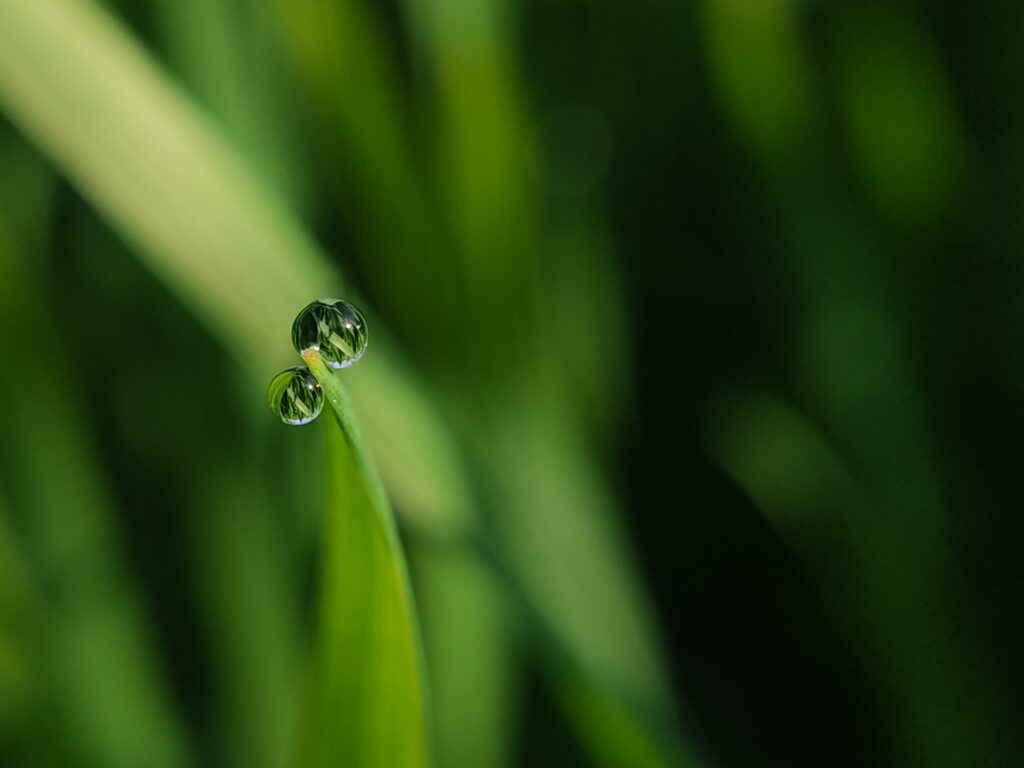 img 20210202 092956 2